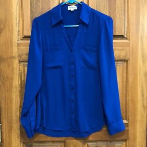Blue button down blouse